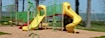 New Slides